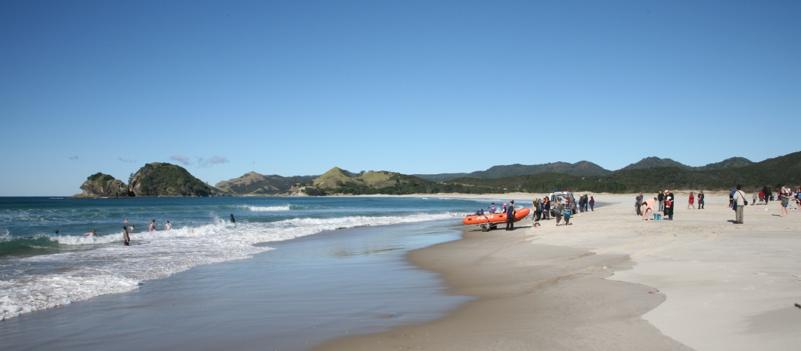 A picture of the 2009 Polar Plunge, Kaitoke Beach, Great Barrier Island.
