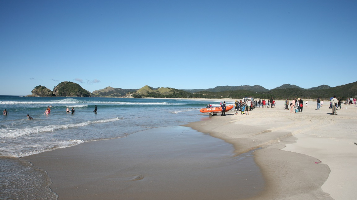 A picture of the 2009 Polar Plunge, Kaitoke Beach, Great Barrier Island.